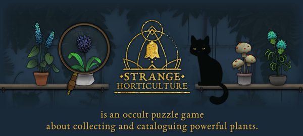 Steam_DescriptionBanner.png